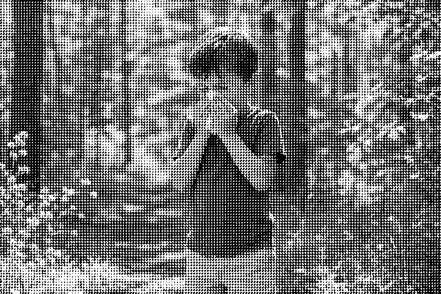 Allergies saisonnières