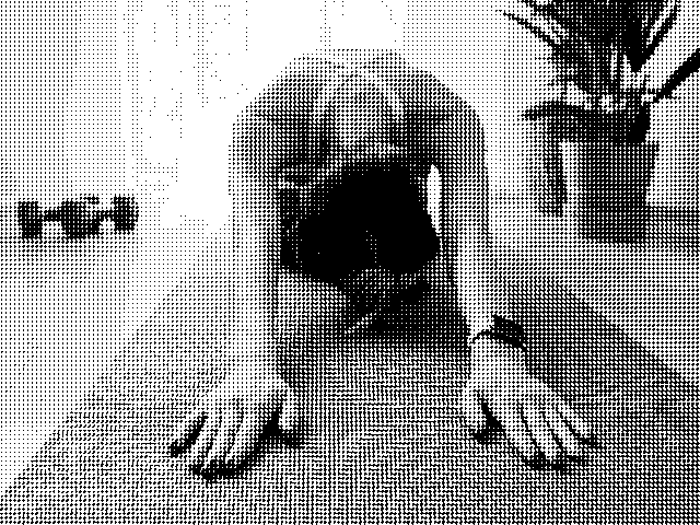 Gynécologie du sport