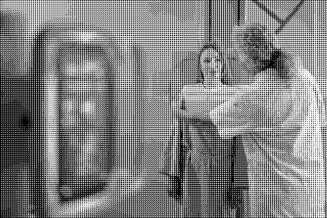 Radiologie