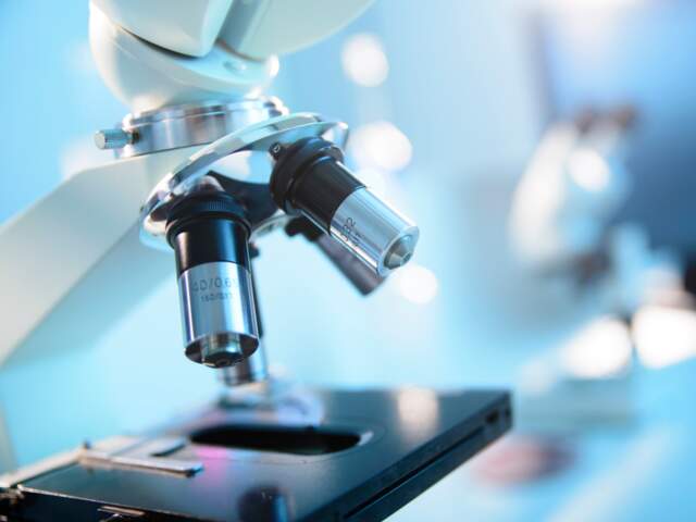 Analyses de laboratoire