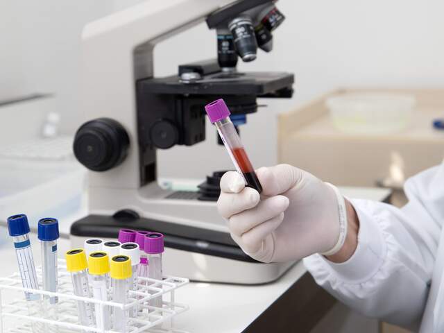 Laboratoire Prise de sang